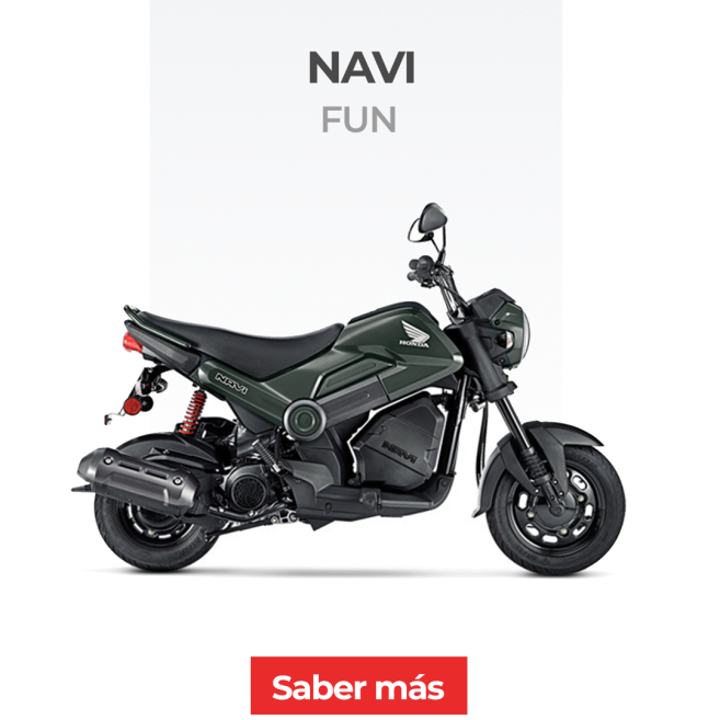 NAVI-MODELO