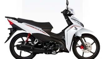 Wave FULL-BASEE 2025